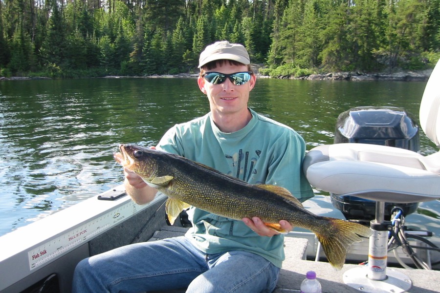 ../image/another walleye.jpg